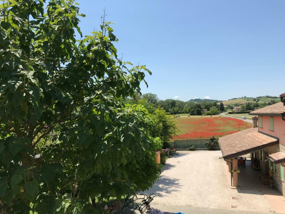 Tra I Campi Di Papaveri Medesano Εξωτερικό φωτογραφία